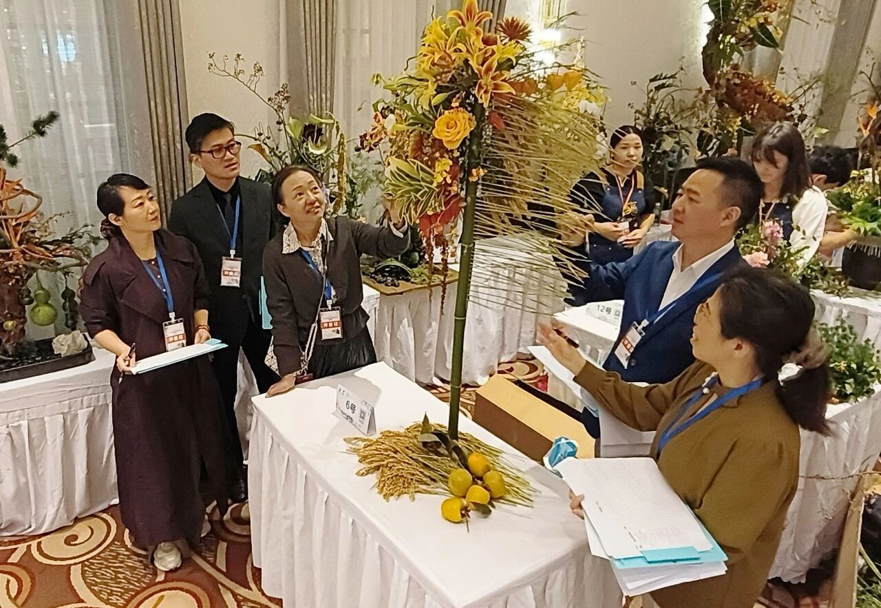 1762139087225207.jpg 1762139087225207.jpg