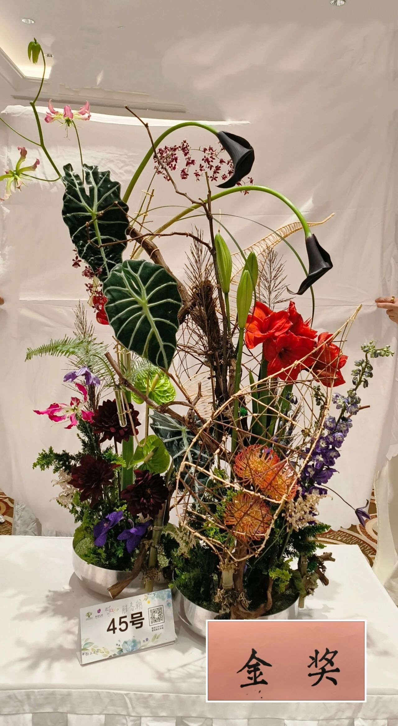 1762142204153246.jpg 1762142204153246.jpg