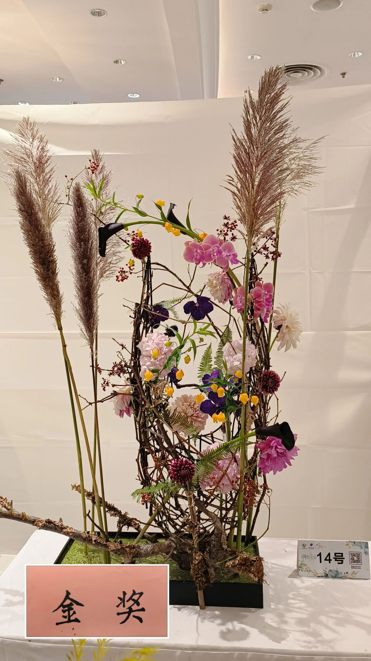 1762142265812940.jpg 1762142265812940.jpg