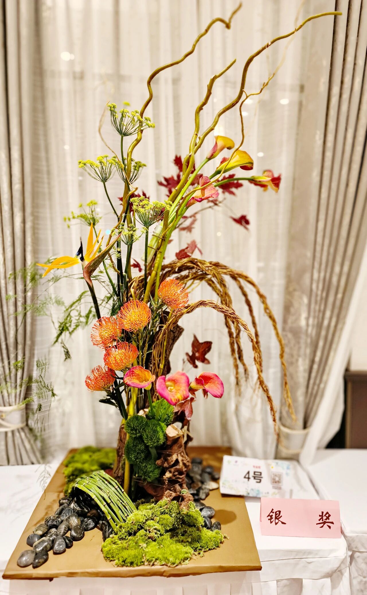 1762142391262647.jpg 1762142391262647.jpg