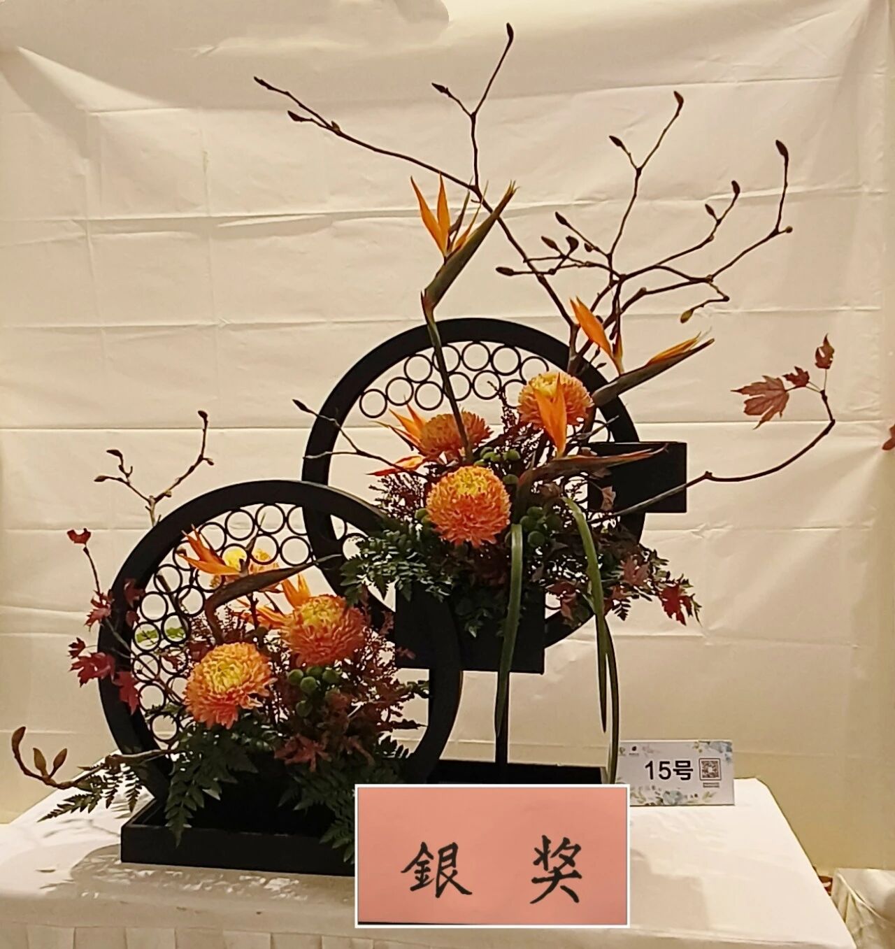 1762142615207215.jpg 1762142615207215.jpg