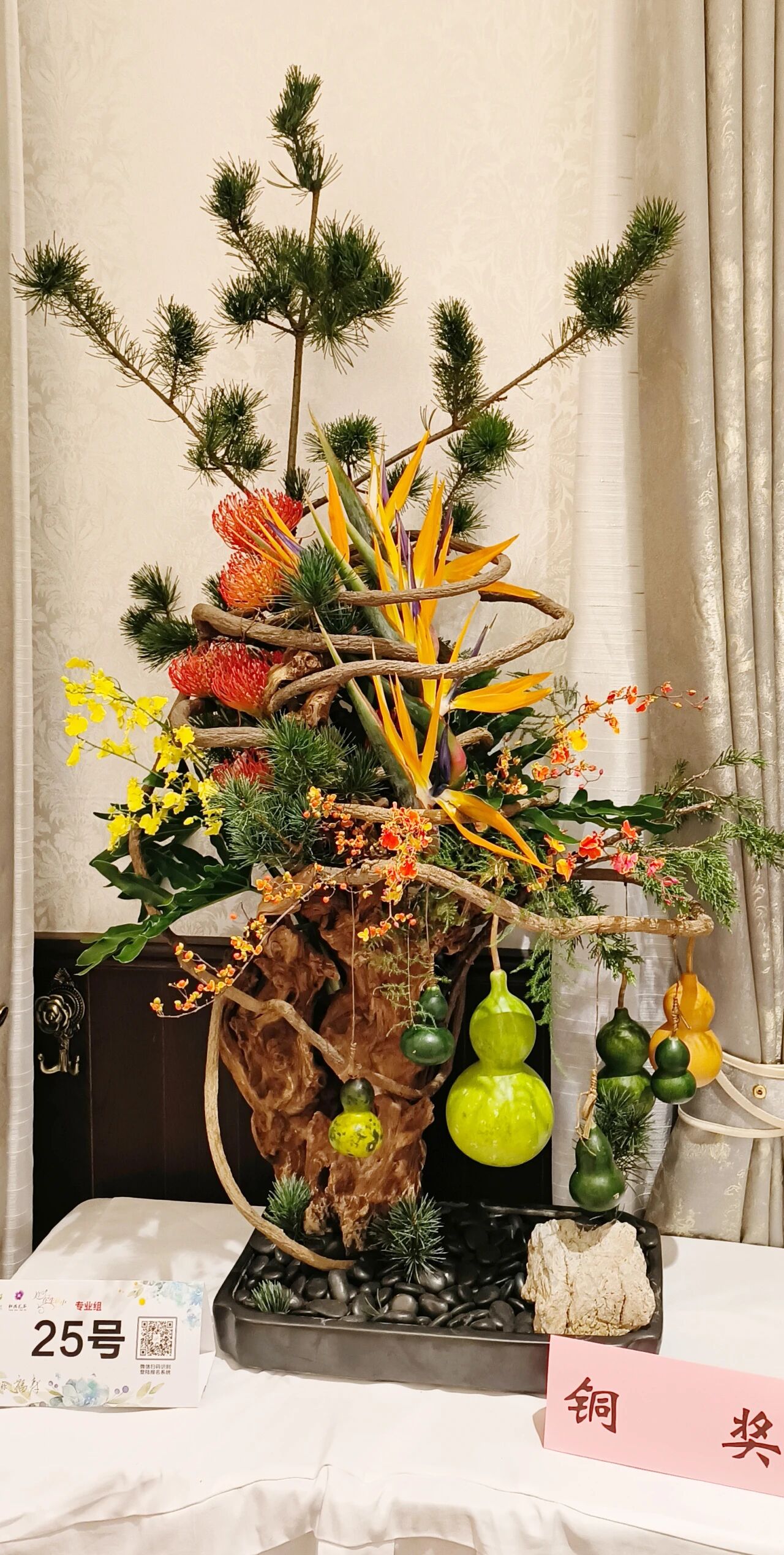 1762142844255460.jpg 1762142844255460.jpg