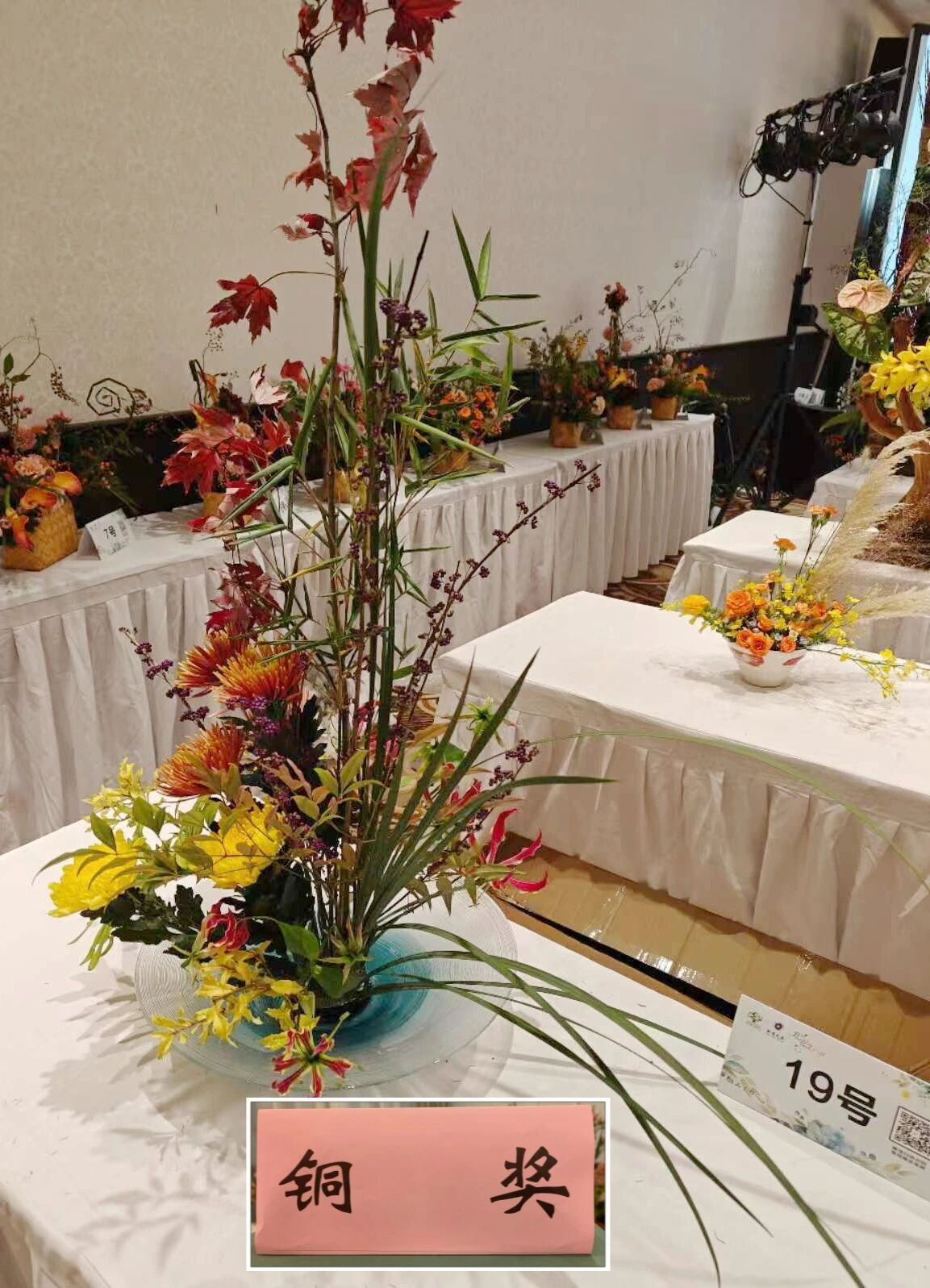 1762147363557298.jpg 1762147363557298.jpg