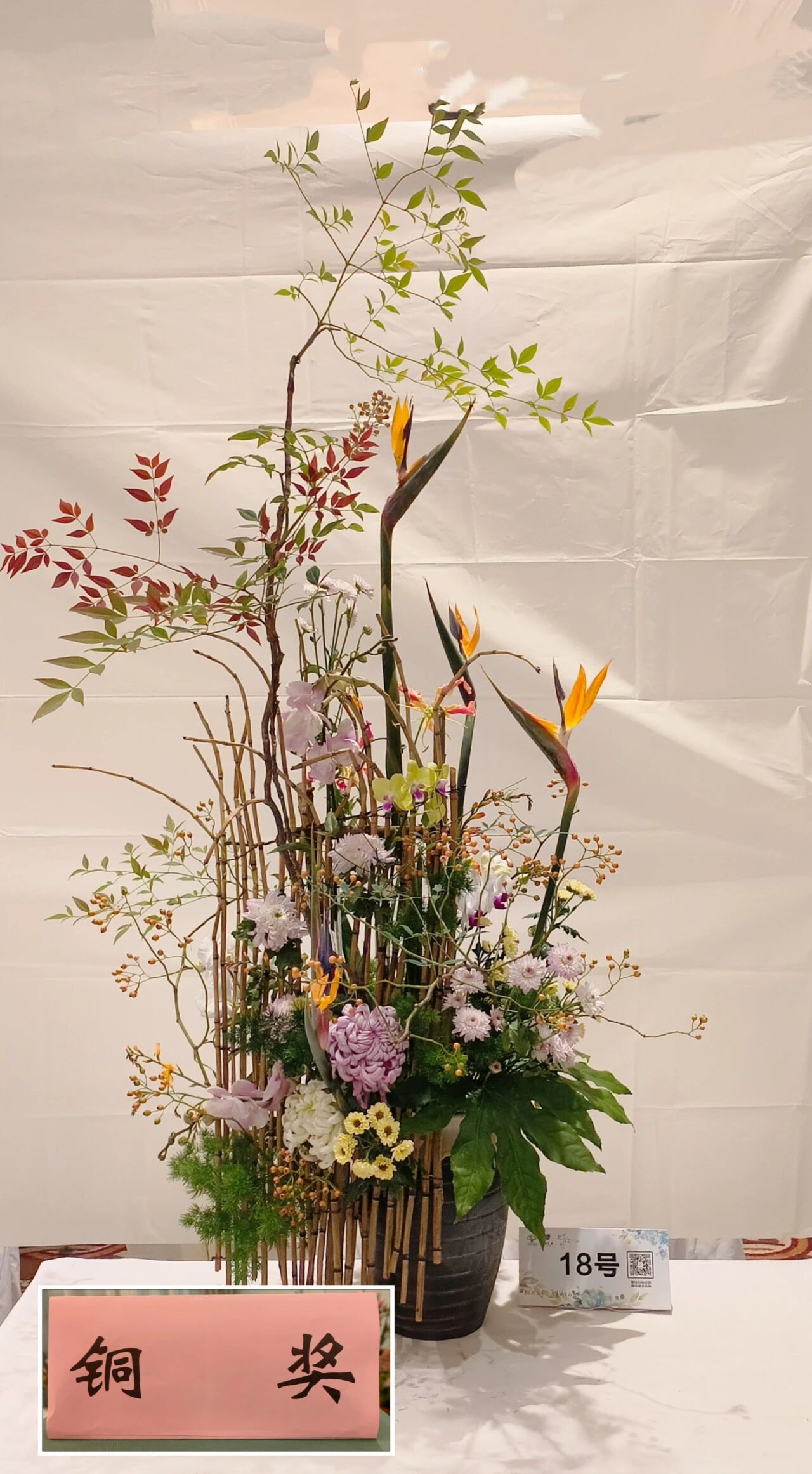 1762147394287532.jpg 1762147394287532.jpg