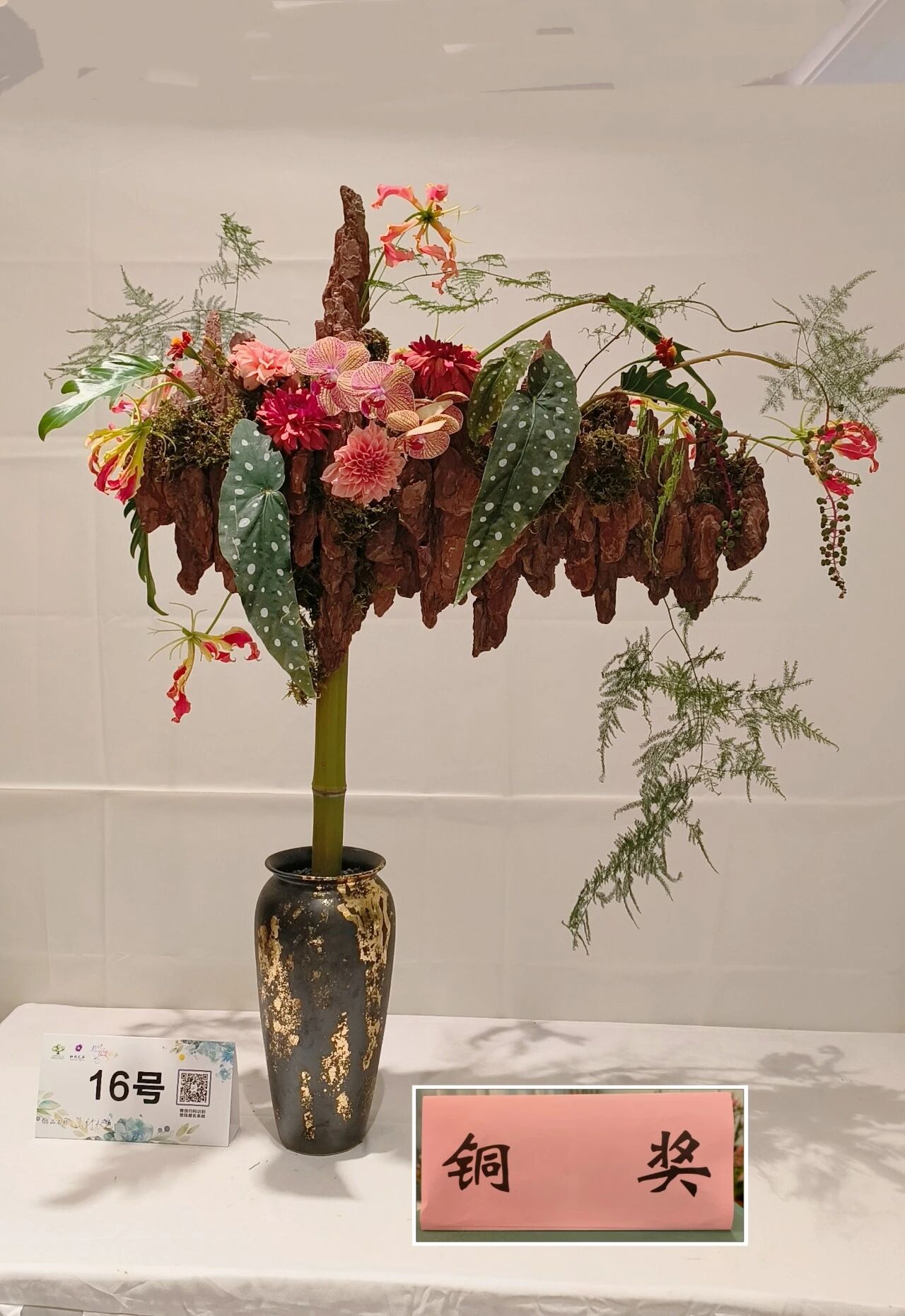 1762147438121937.jpg 1762147438121937.jpg