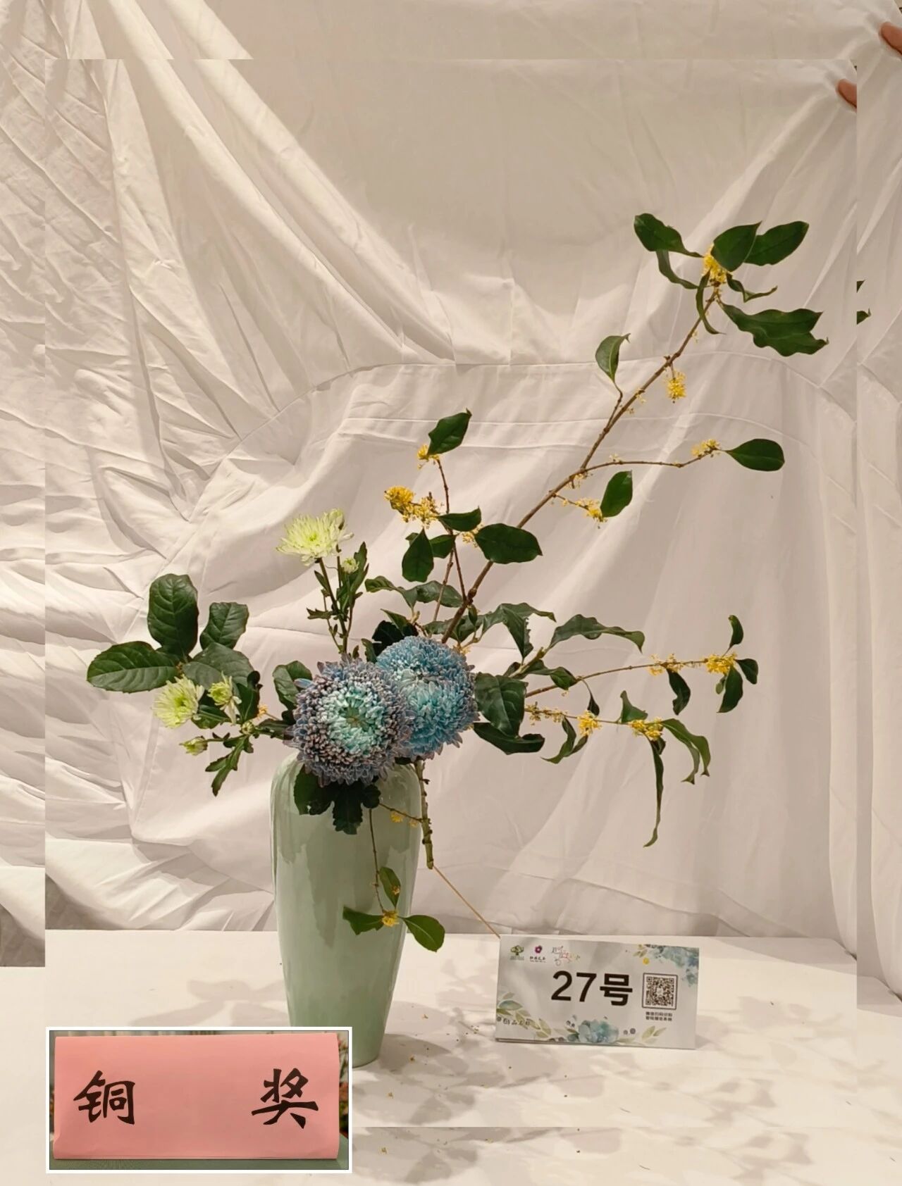 1762147485795948.jpg 1762147485795948.jpg