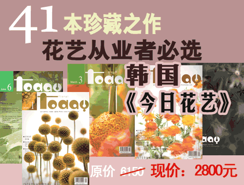 畅销杂志《今日花艺》有成套供应 图1.gif