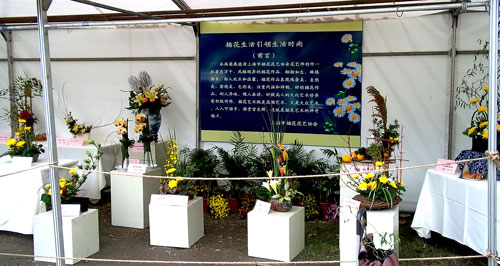 鲁迅公园有花艺展览 图1.jpg