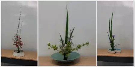 插花艺术进校园 图2.jpg