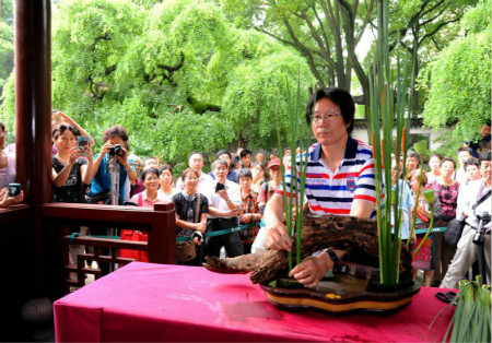 2014国际睡莲展暨第二届上海荷花展今日开幕 图2.jpg
